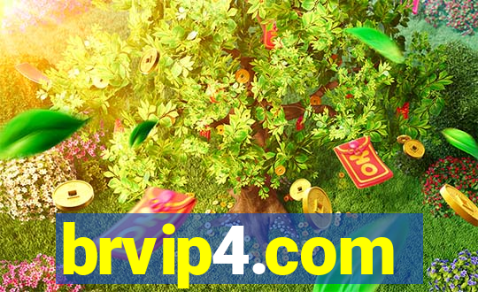 brvip4.com