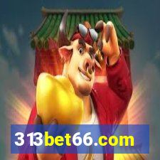 313bet66.com