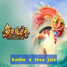 banho e tosa juiz de fora