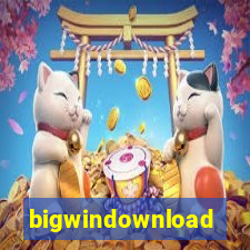 bigwindownload