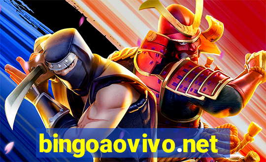 bingoaovivo.net