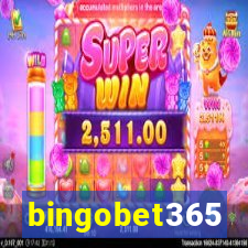 bingobet365