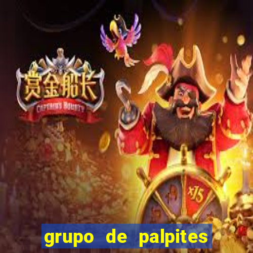 grupo de palpites de futebol telegram