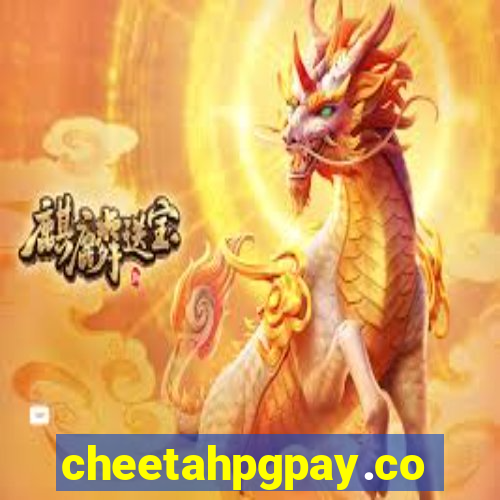 cheetahpgpay.com