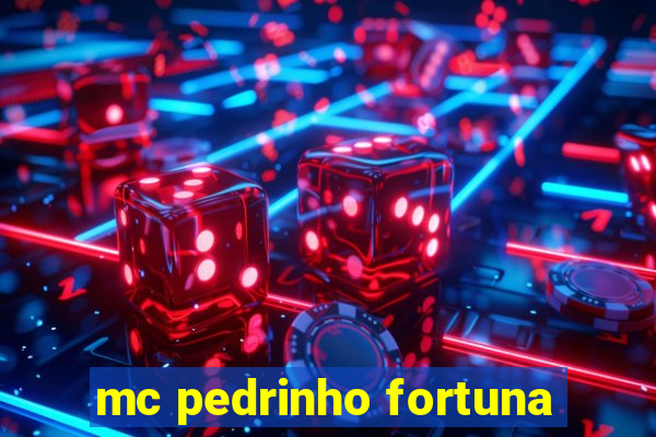 mc pedrinho fortuna