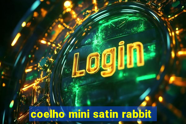 coelho mini satin rabbit