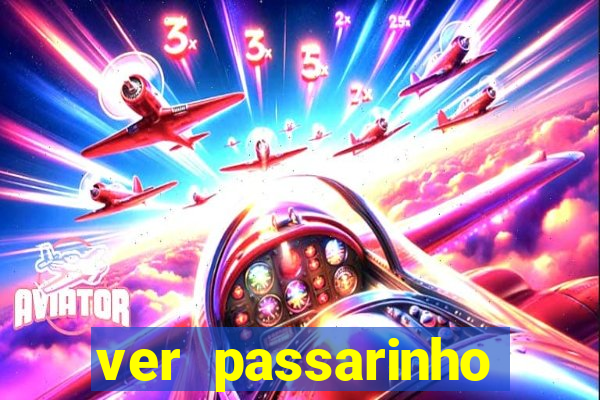 ver passarinho morto significado espiritual