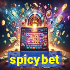 spicybet-1.com