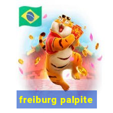 freiburg palpite