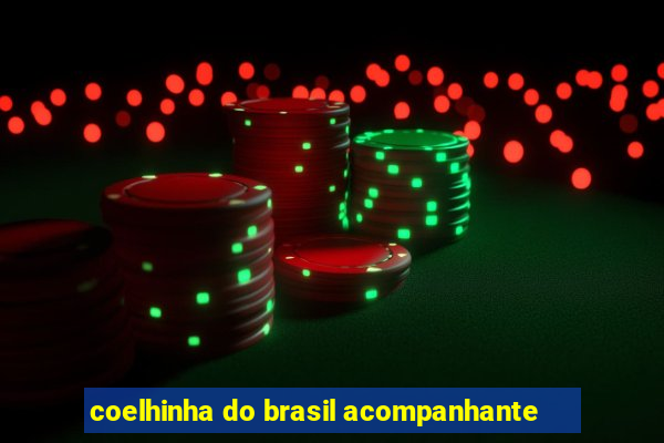 coelhinha do brasil acompanhante